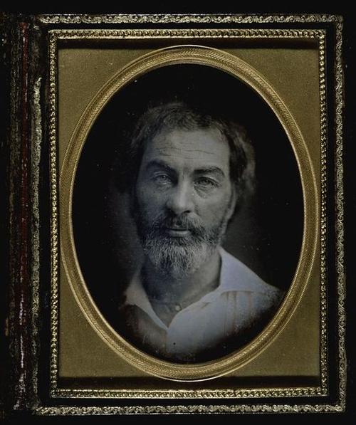 Daguerreotype portrait of a young Walt Whitman.